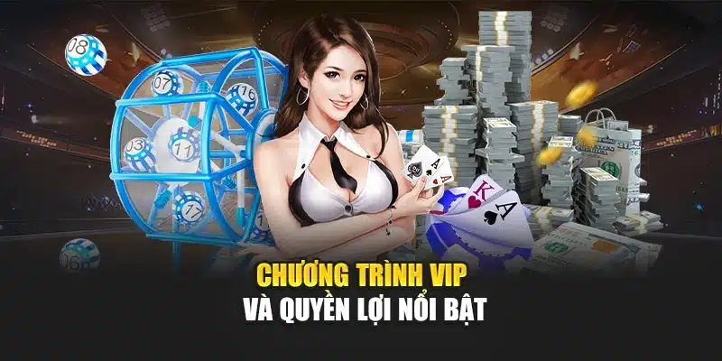 Chương trình VIP và quyền lợi nổi bật