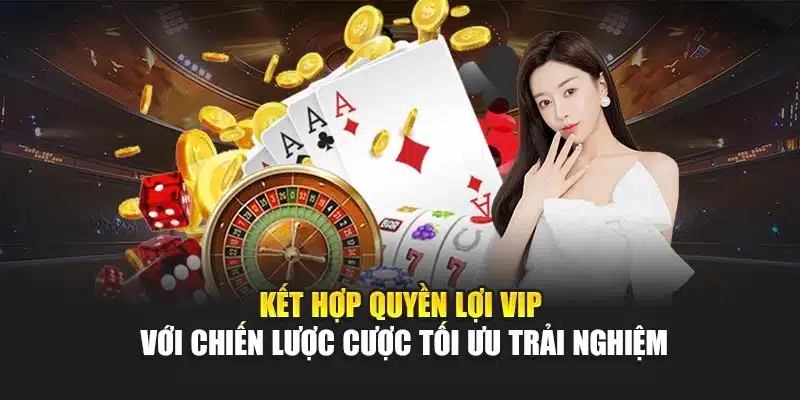 Kết hợp quyền lợi VIP với chiến lược cược tối ưu trải nghiệm