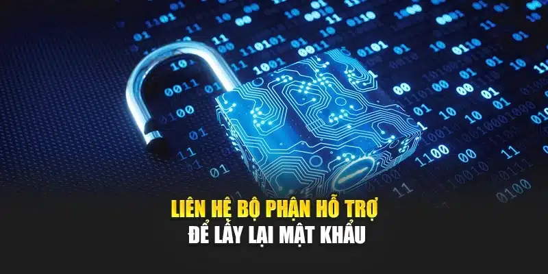 Liên hệ bộ phận hỗ trợ để lấy lại mật khẩu
